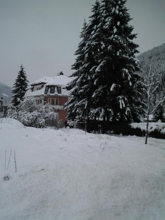 Villa Alessandra - Sud-Tyrol