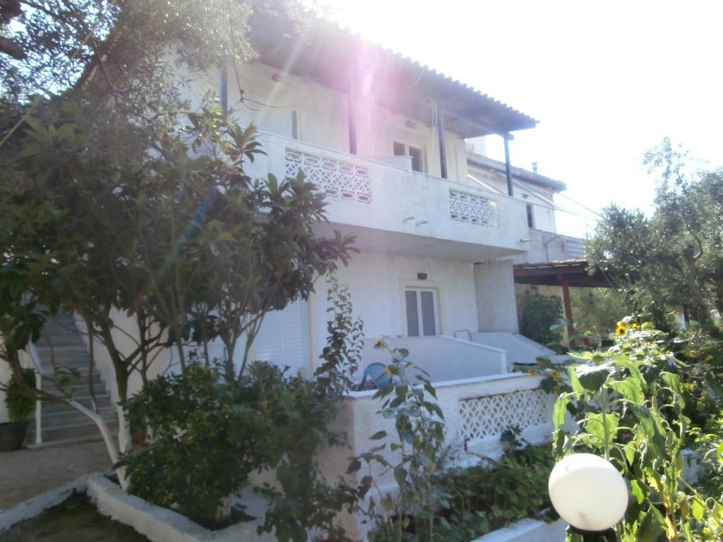 Billy's Amoudi Apartments - Zakynthos