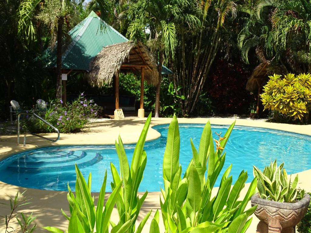 Indigo Yoga Surf Resort - Costa Rica