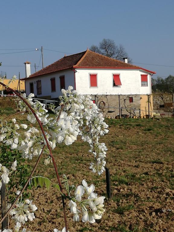 Casa Da Vinha Grande - 葡萄牙