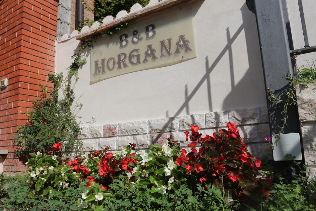 Morgana - Ospitaletto