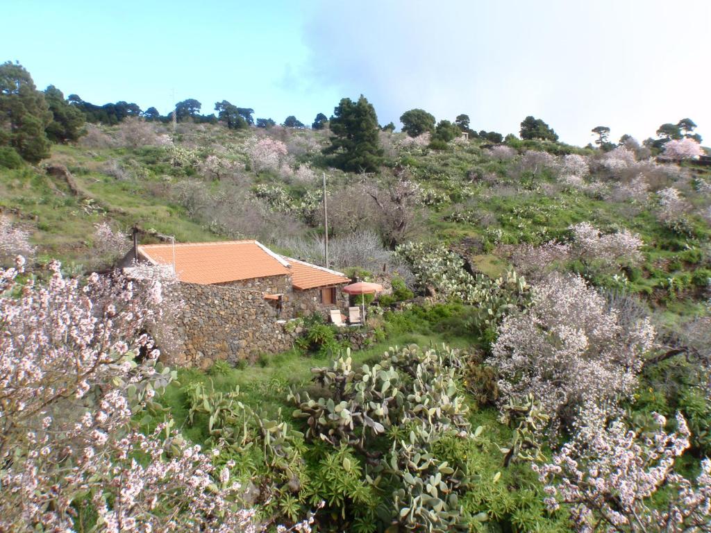Casa Rural La Jarita - El Hierro