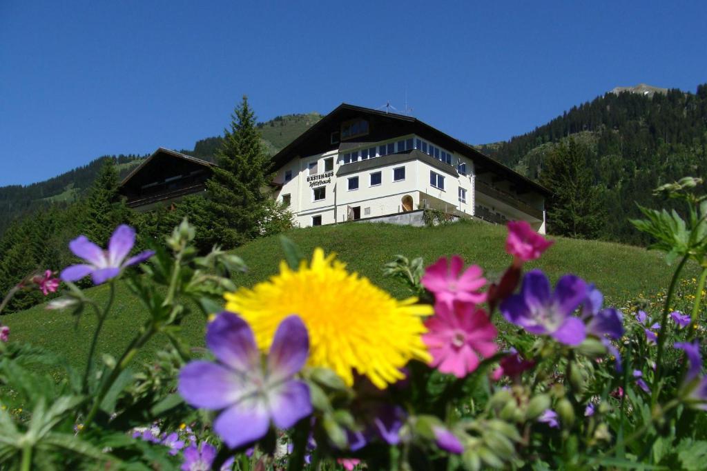 Gästehaus Wildbach - Vorarlberg