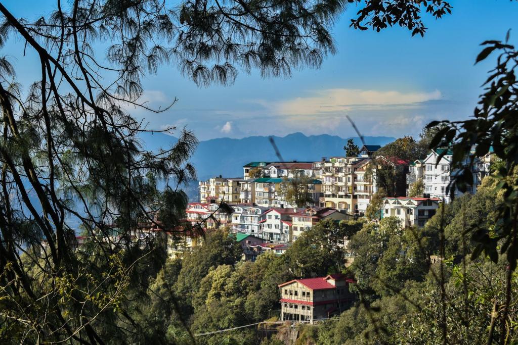 Dhanlaxmi Apartments - Shimla
