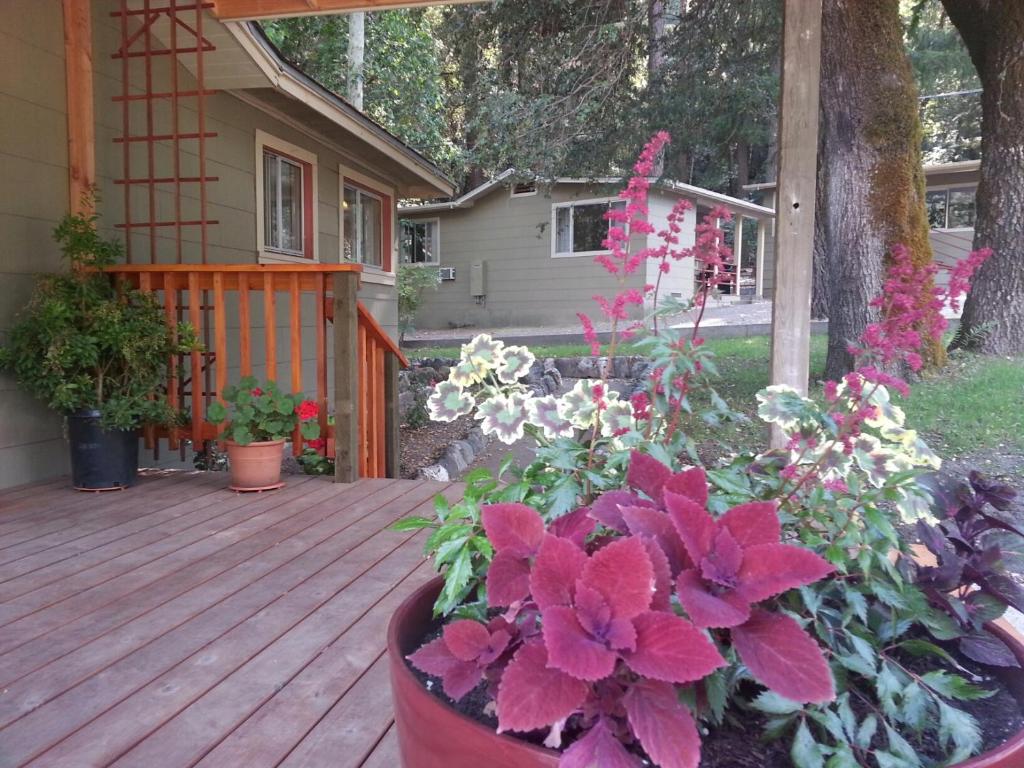 China Creek Cottages - Humboldt County, CA