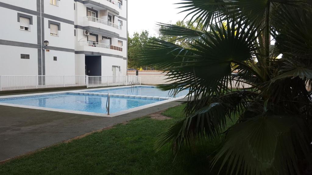appartement avec piscine - San Vicente del Raspeig