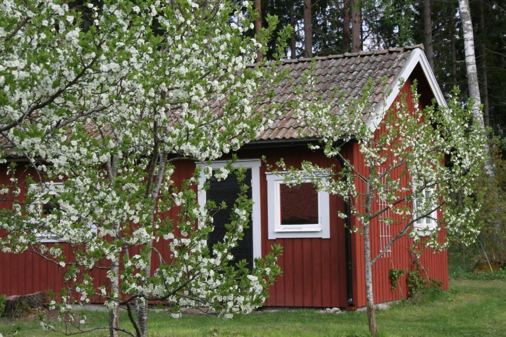 Ahornfarm Håkannäs - Värmlands län