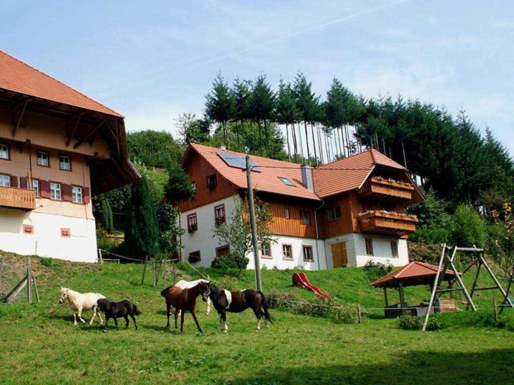 Schwoererhof - Black Forest