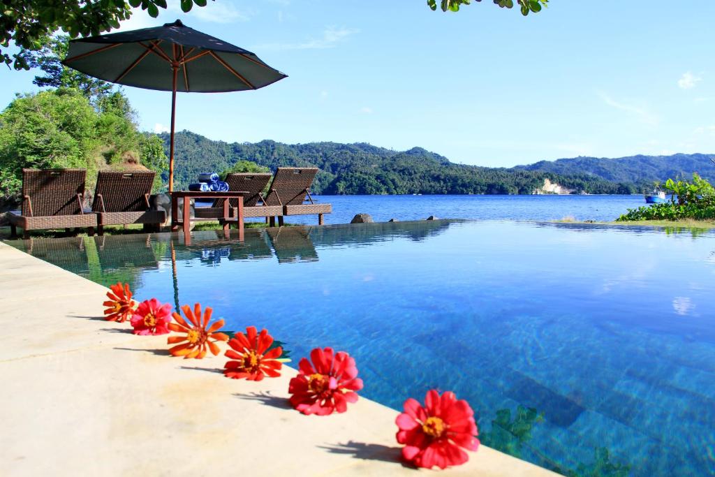 Cocotinos Lembeh A Boutique Dive Lodge - North Maluku