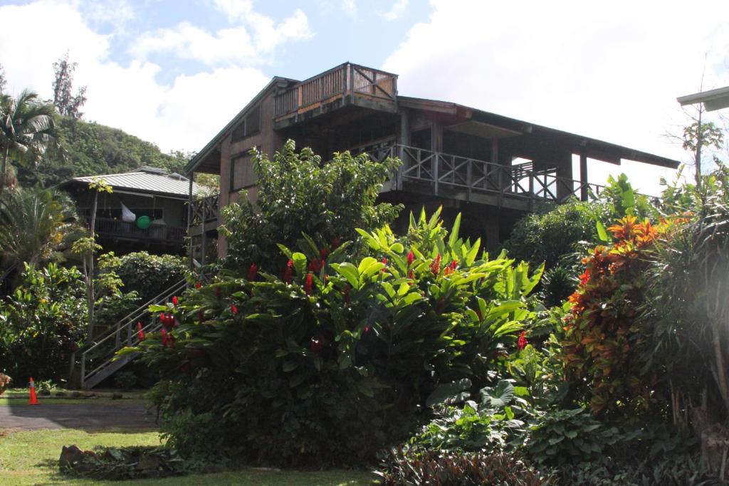 Backpackers Vacation Inn and Plantation Village - Waialua, HI