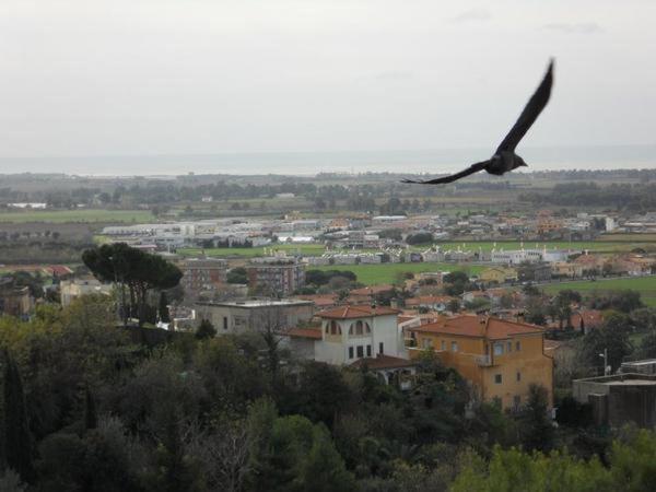 Al Castello - Tarquinia