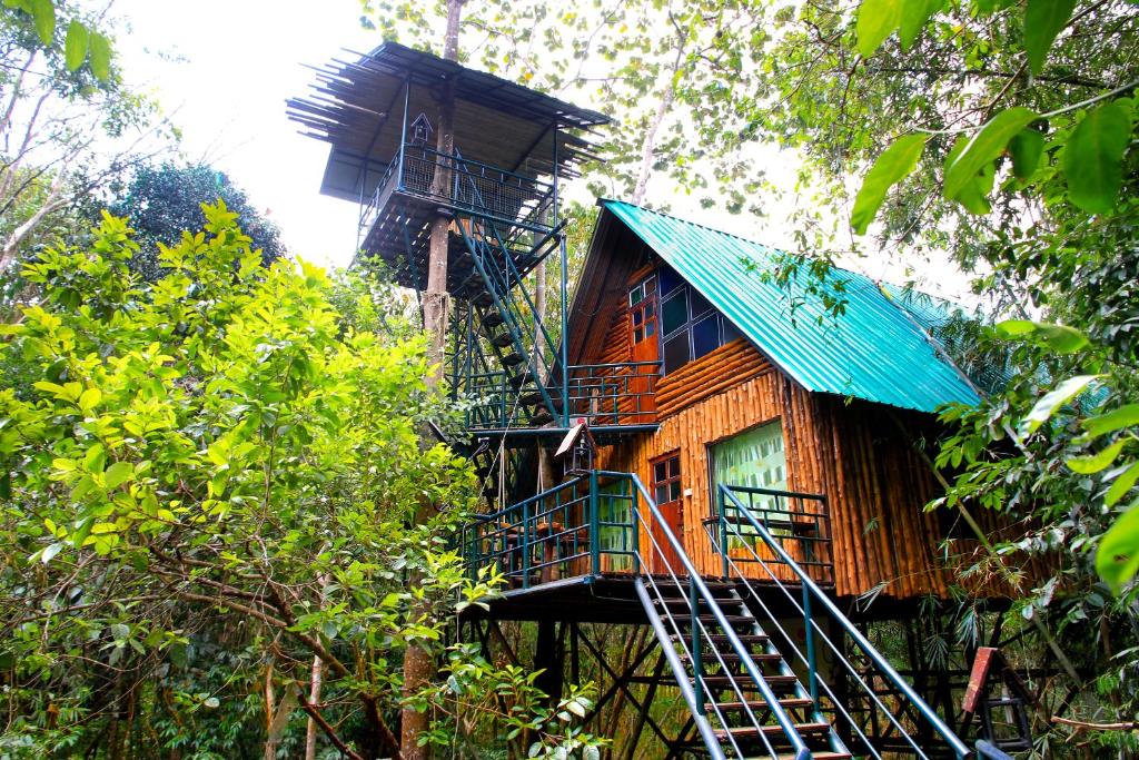 Khaosok Treehouse Resort - Khao Sok