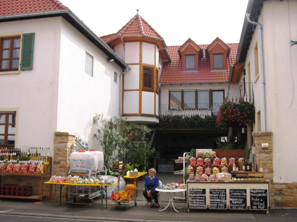 Monteurwohnung, Straßenseitig, 2 Etagen (Eg,dg) - Ferienwohnungen Dehn - Grünstadt