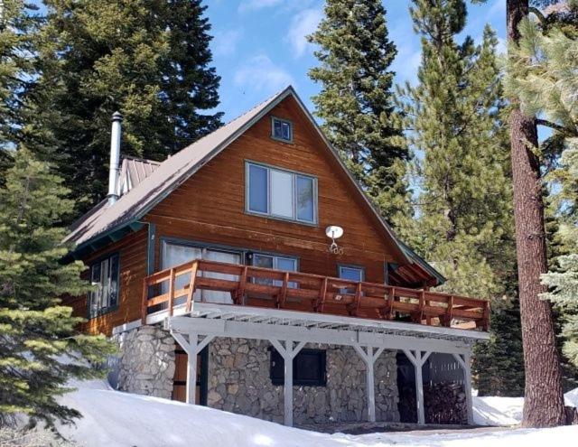 Adorable A-frame perfect for the whole family,,,even the dog! Home 47 cabin - Bear Valley, CA