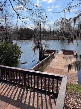 Top Airbnbs & Vacation rentals in Bastrop, LA cozycozy