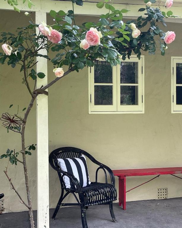 Fleetwood Cottage Bed And Breakfast - Hahndorf