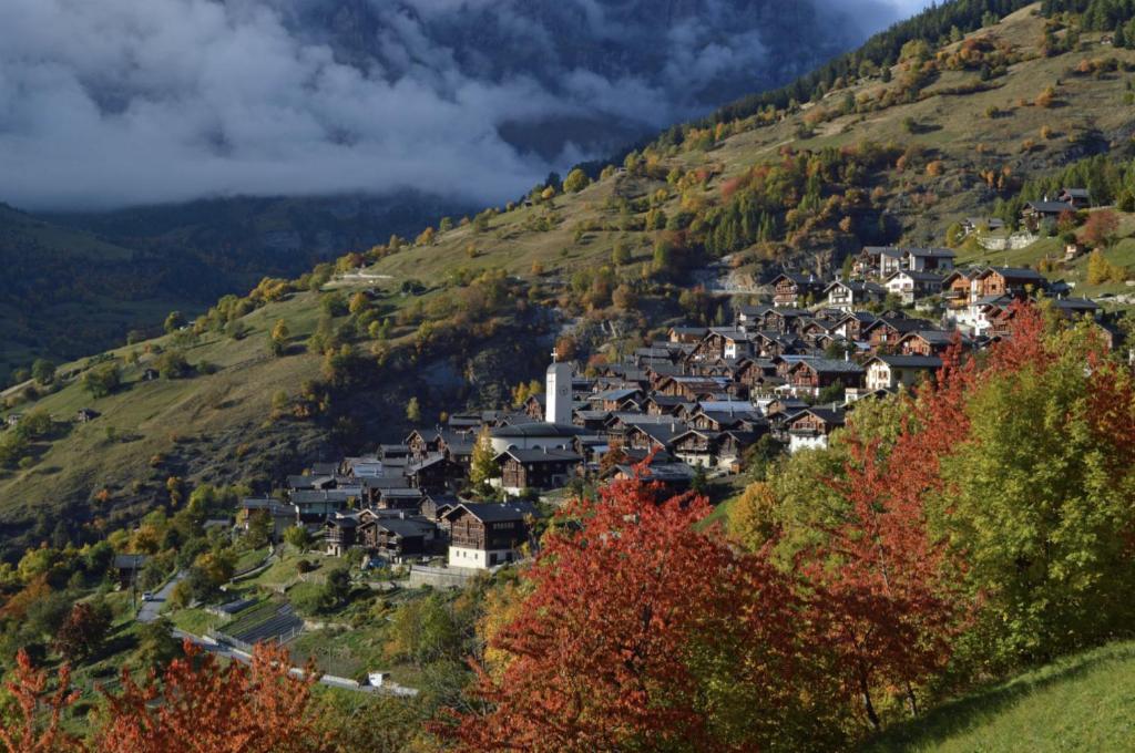 Gemütliche Wohnung Mit Traumaussicht! - Canton of Valais