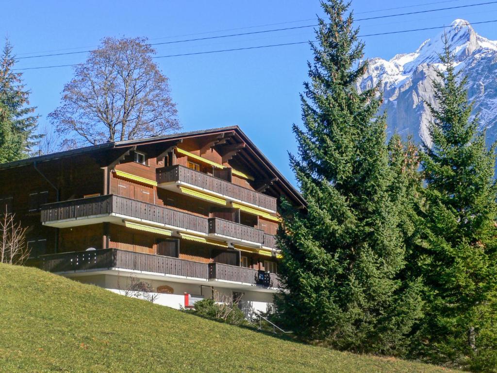 Apartment Bodmisunne - Grindelwald
