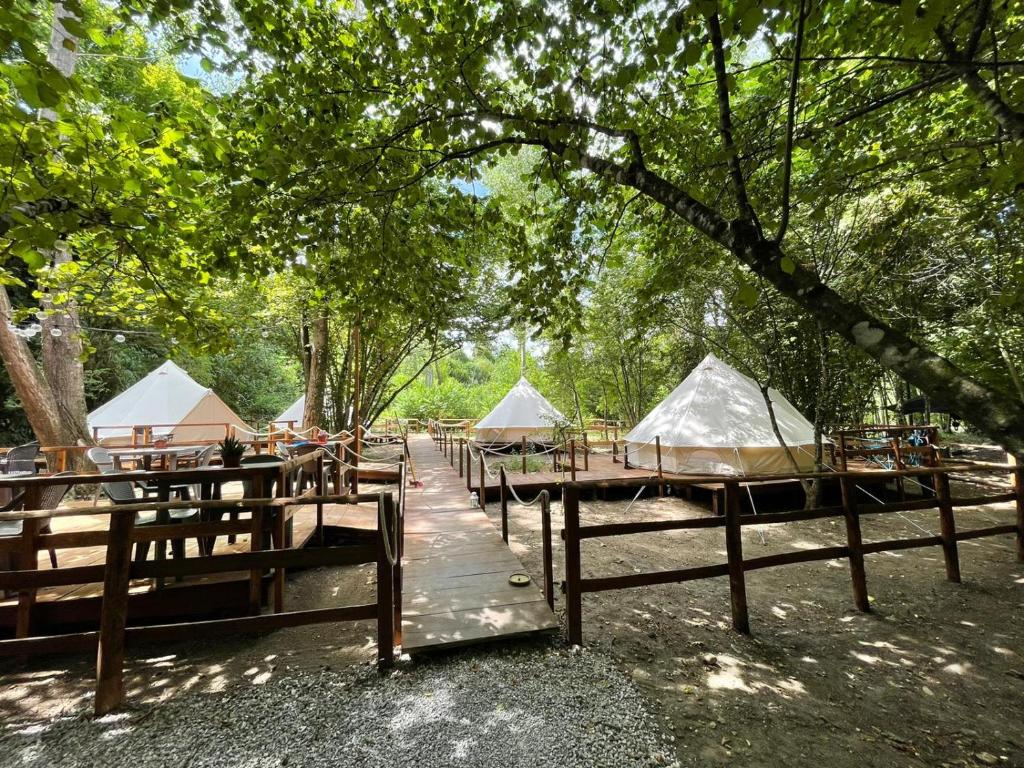River Tribe Glamping - Calabre