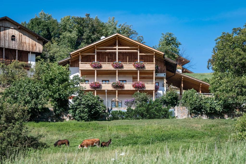 Ferienbauernhof Wieserhof - Trentino-Südtirol