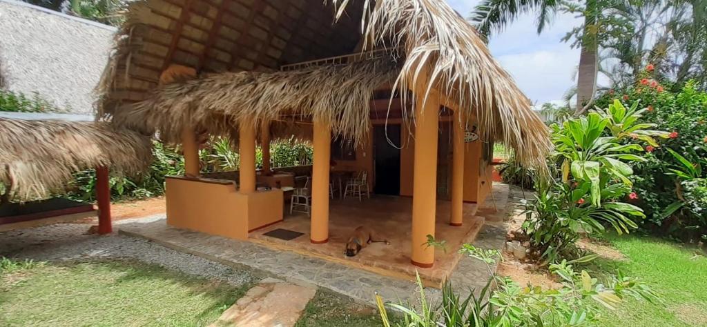 Casa 3 Amigos-palm Roofed House - República Dominicana