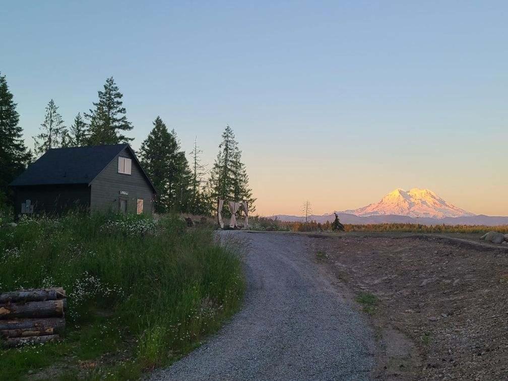 New Listing!!! Stunning Views! Tahoma Ridge Cottage 35 Miles To Mt Rainier! - Ohop Lake, WA