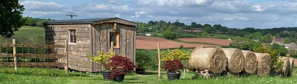 The Queen Bee Cabin - Herefordshire