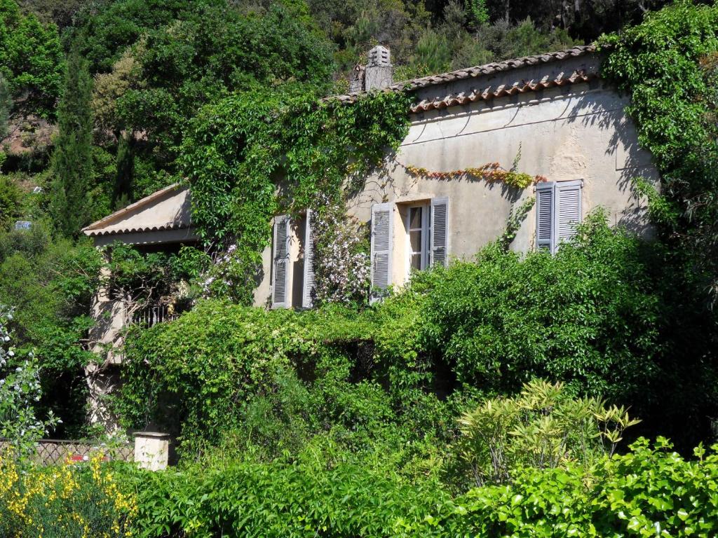 Gîte Maison d'Allouma - French Riviera