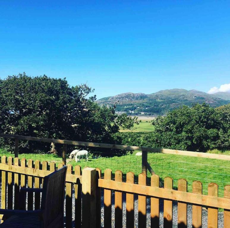 Cwt Melyn, Posh Camping Sheperds Hut Budget Friendly - Barmouth