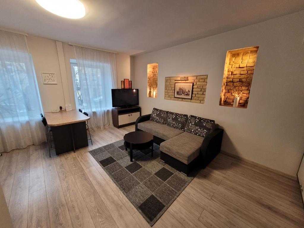 Apartment on Kudirkos 20 - Vilna