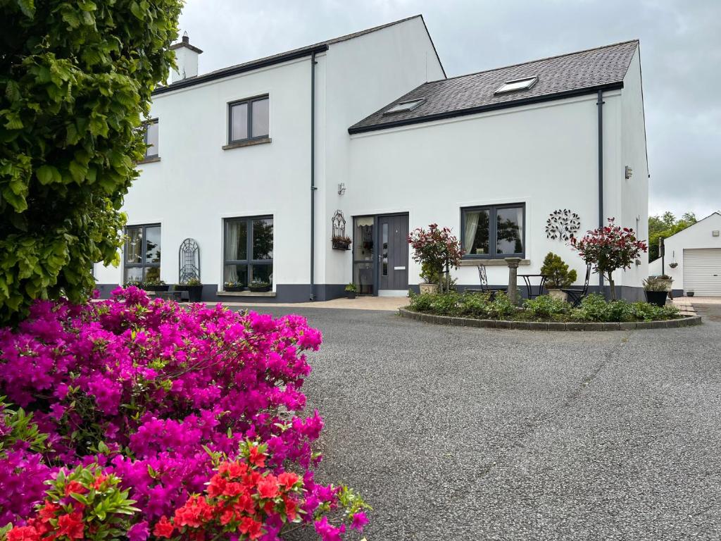 Beautiful 3 bedroom / 6 person holiday home - Rostrevor