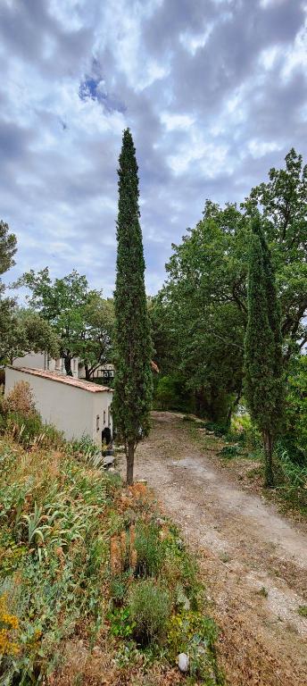 Maison Dans Un éCrin De Chênes Provençale - Visan