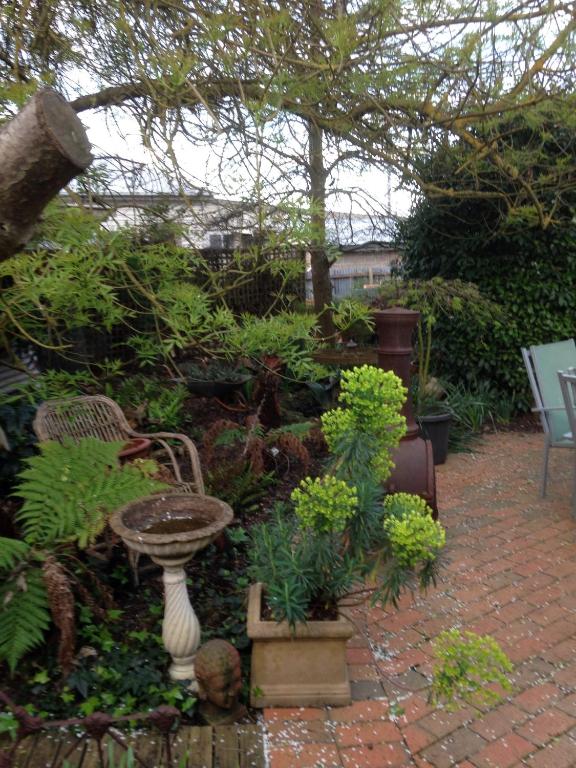 Butlers Guesthouse - Winchelsea