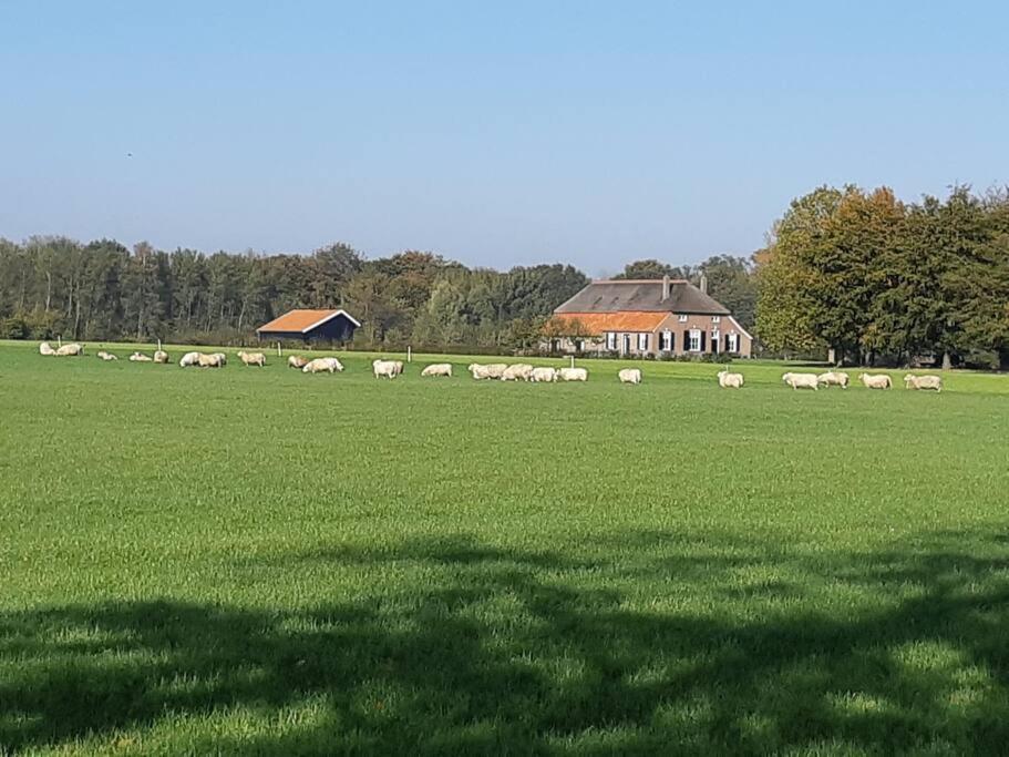 Woonboerderij Joostink in Vorden - Lochem