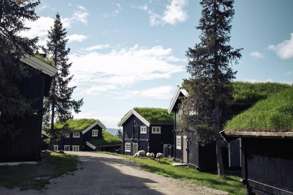 Gudbrandsgard Hyttegrend Kvitfjell - Noorwegen