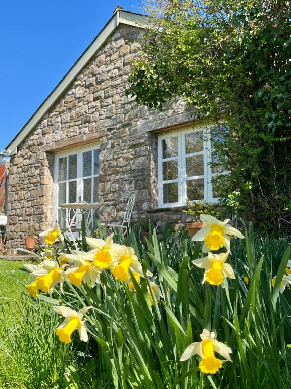 The Billiard Room - Cosy Country Retreat - Usk