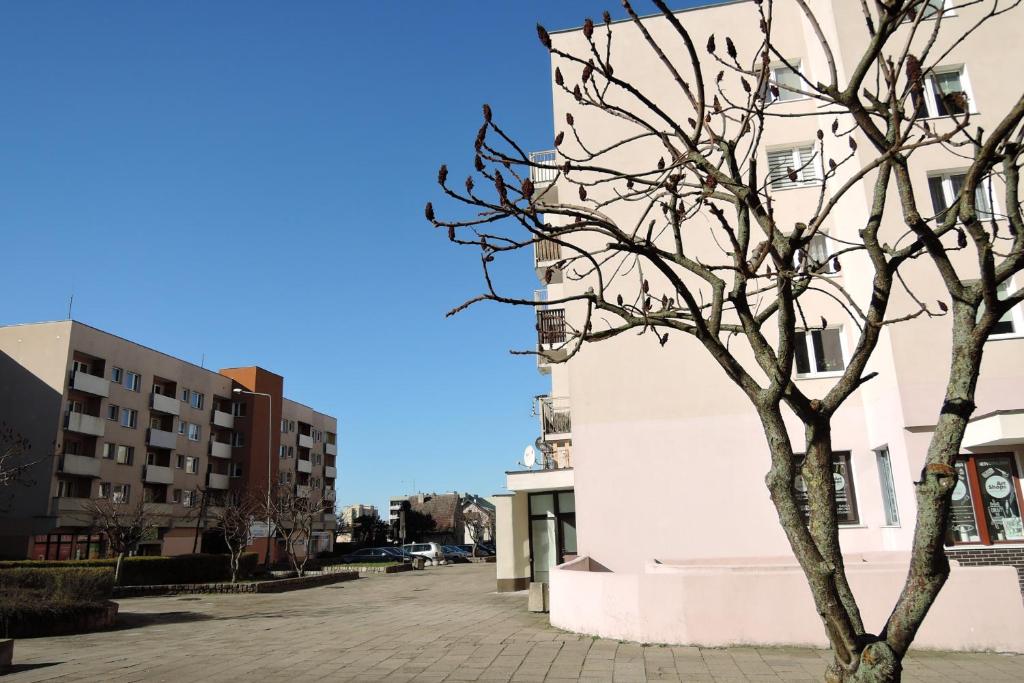 Citycorner Appartment - Szczecin