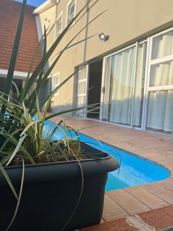 3 Bedroom Bella Lux Villa With A Pool - Durban North