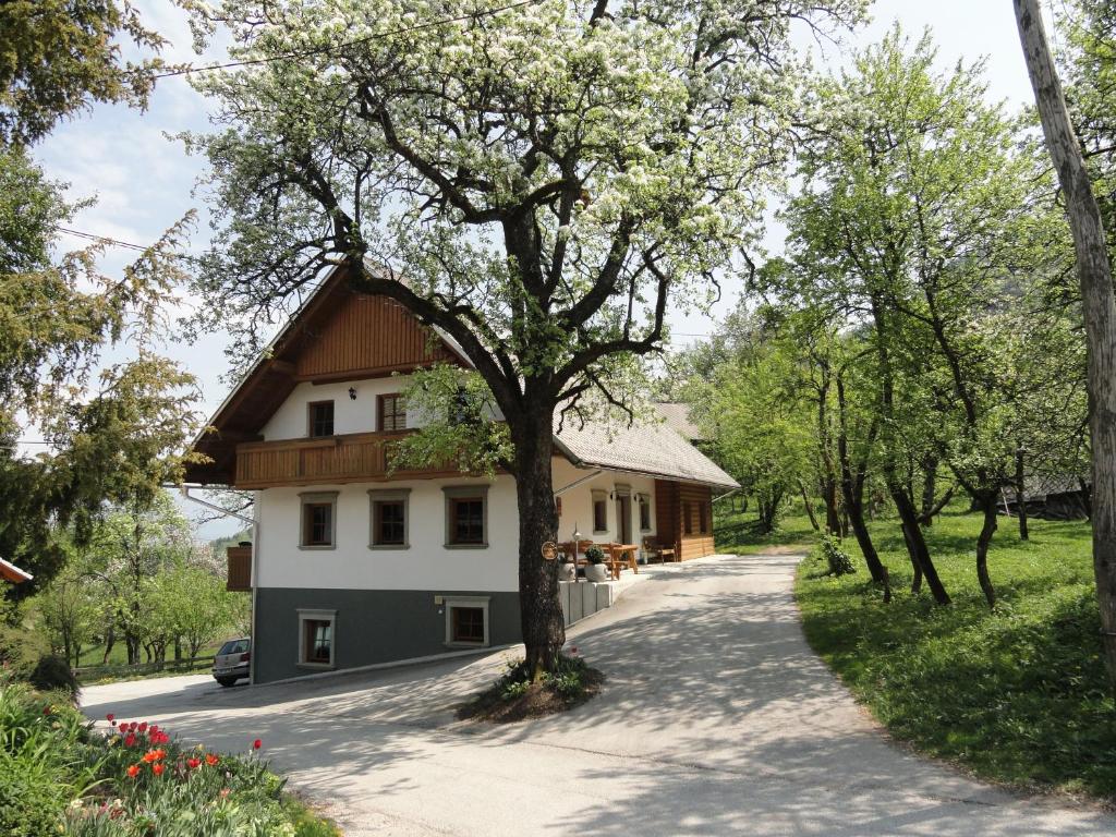 Farm Stay Dolinar Krainer - Bled