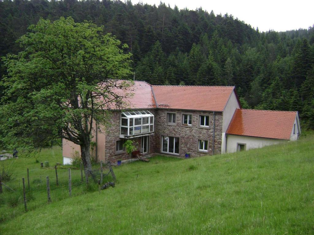 Gite Hansel De La Ferme Du Schneeberg - Alsace - Forêt-Noire