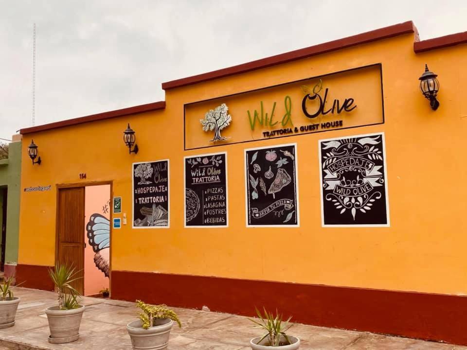 Wild Olive Guest House - Peru