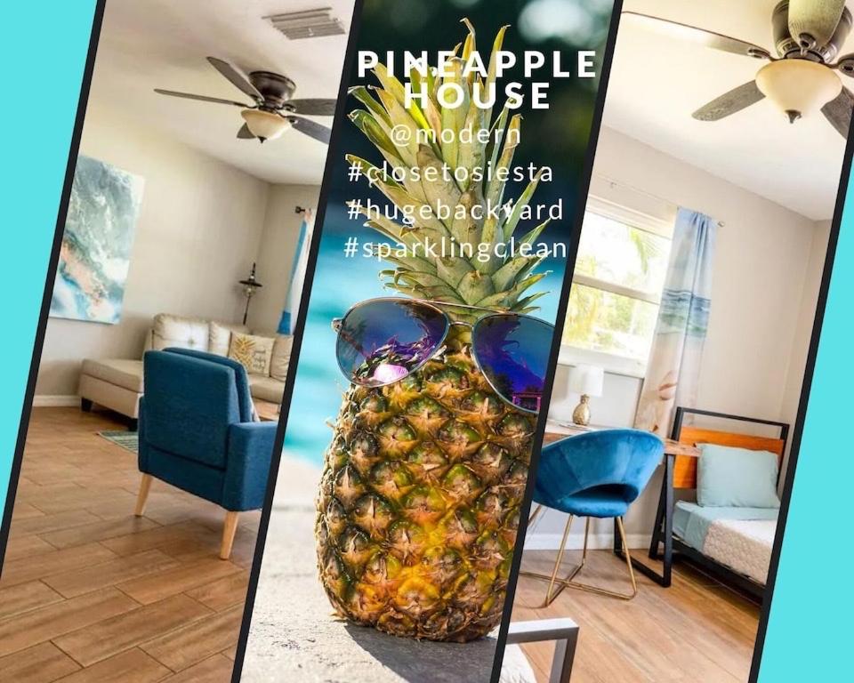 New Pineapple house near Siesta Beach with a huge private backyard - Sarasota