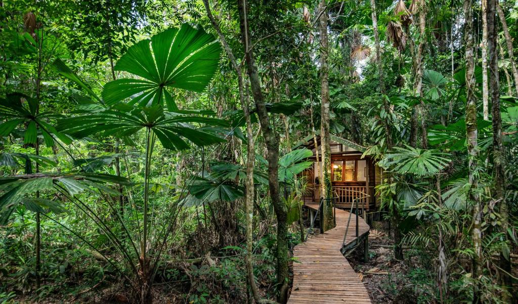Daintree Rainforest Stay For 3 - Triple Cabin - Daintree