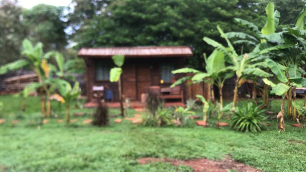 Los Bananos - Tiny Wood Cabin - Provincia de Misiones