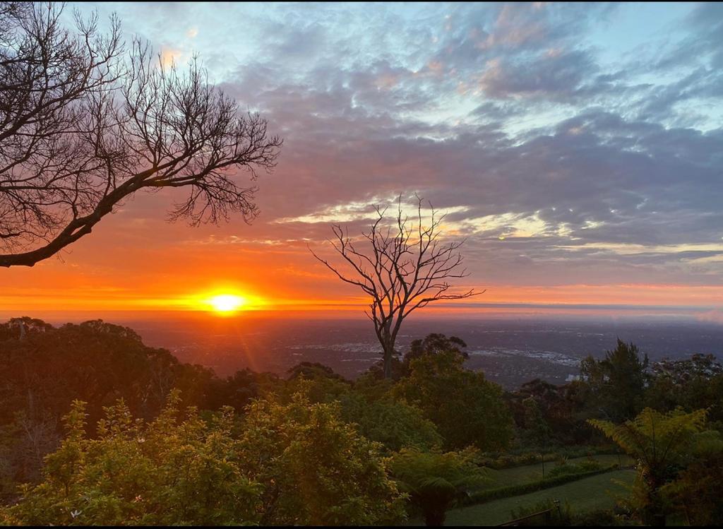 Vista Views - Your Own Private Guest House With Spectacular Views Atop The Stunning Mt. Dandenong. - Dandenong Ranges
