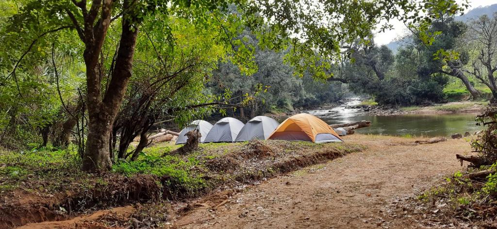 Coorg River Rock Camping - インド