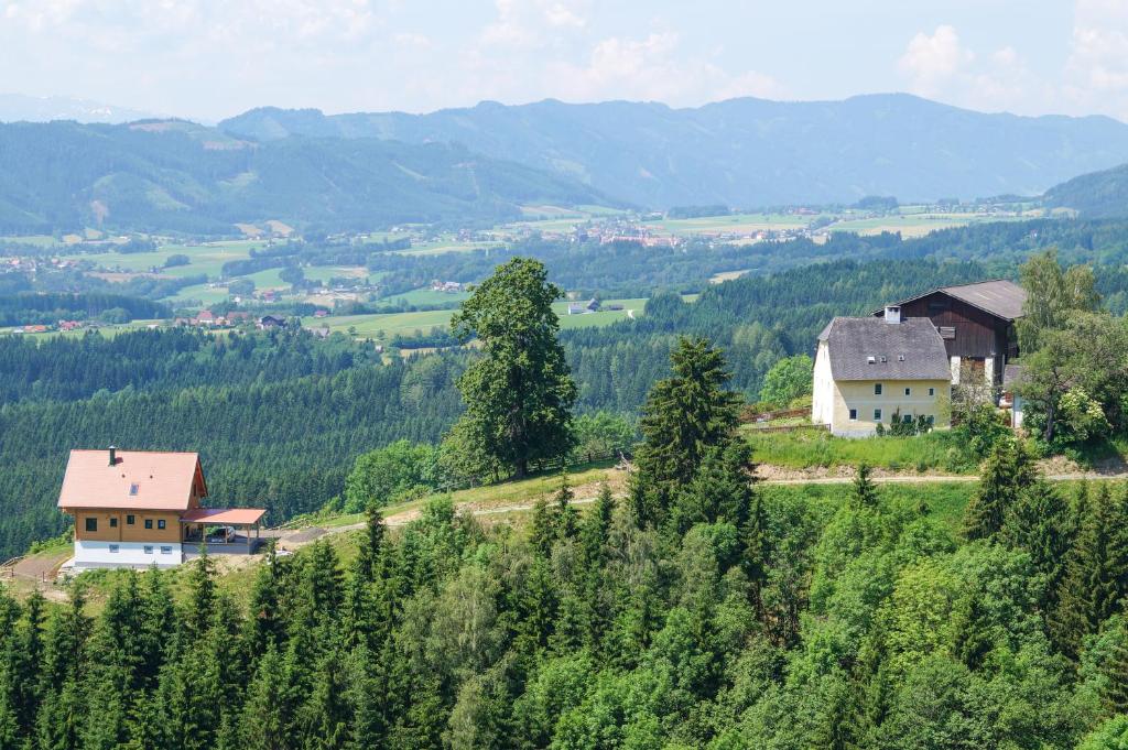 Ferienhaus Hochfelner - Steiermark