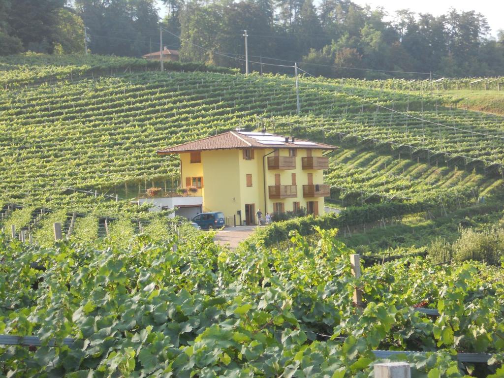 Agritur Al Vigneto - Trentino-Alto Adige