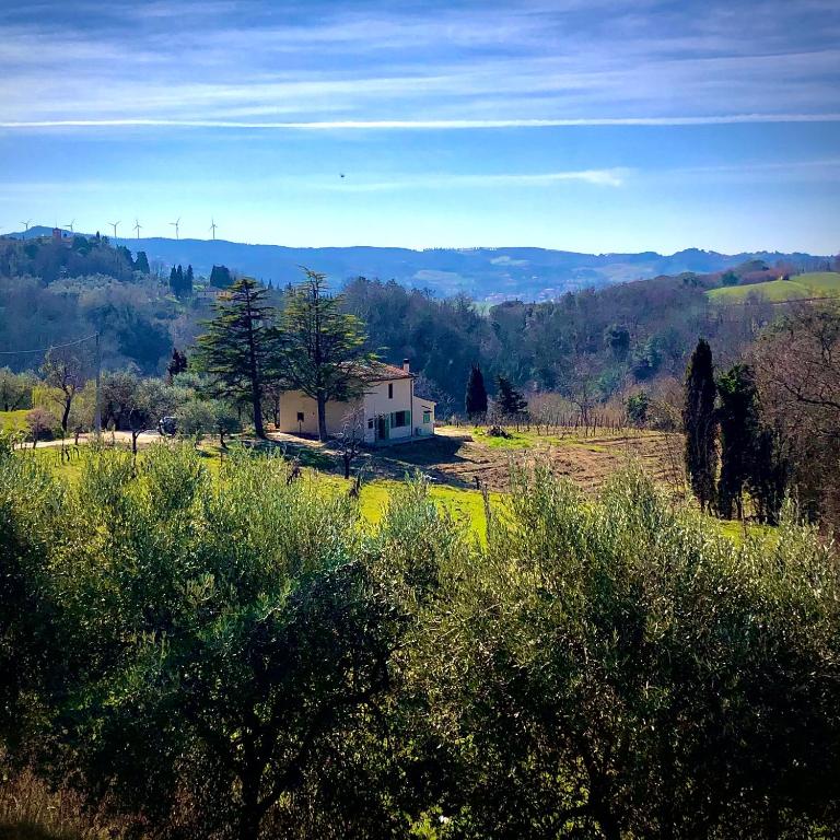 Tuscan Renovated House In Vineyards & Olive Trees - Pontedera