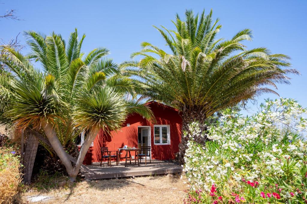 Holiday House Puntagorda For 1 - 4 Persons With 2 Bedrooms - Farmhouse - La Palma